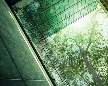 Reaching Net Zero Initiative by Initiative