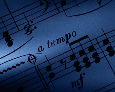 Because We Love the Music