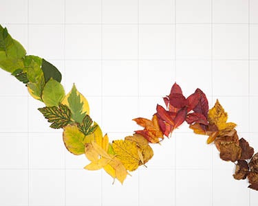 A Tale of Two Seasons