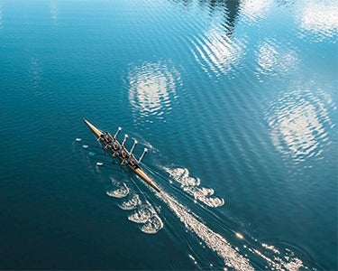 All in the Same Boat