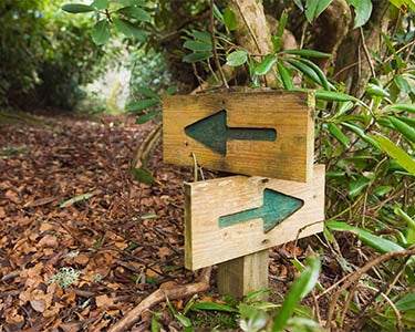 Our Road Less Traveled