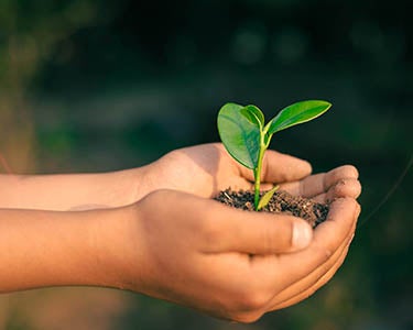 Our Gift We Leave Behind