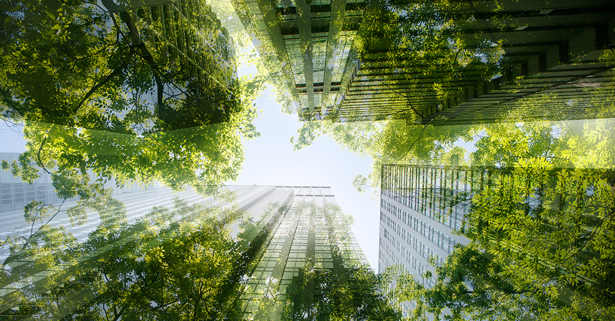 Empowering Sustainability: A New Era for Chief Sustainability Officers