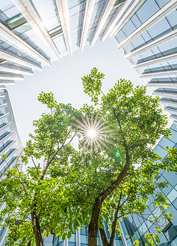 Getting Clear About “Why”