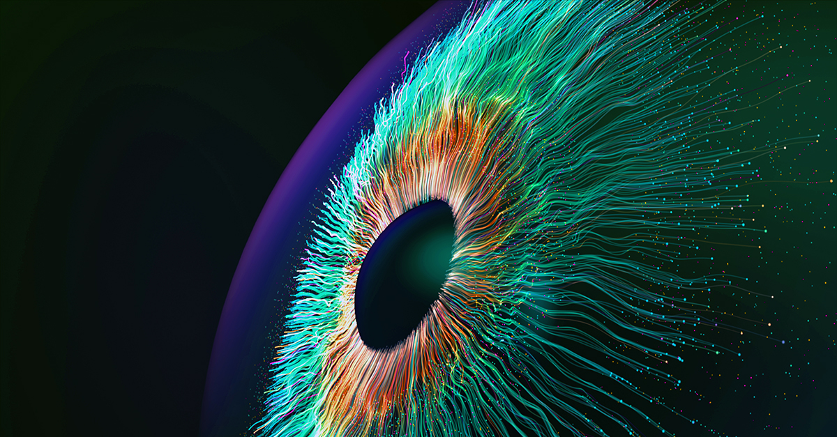 Mind or Machine: The Illusion of Consciousness