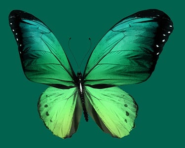 Korn Ferry Recognized for Commitment to Environmental Leadership with CDP Leadership Rating