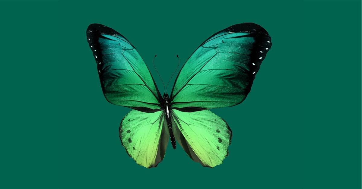 ESG & Sustainability: Partnering with us