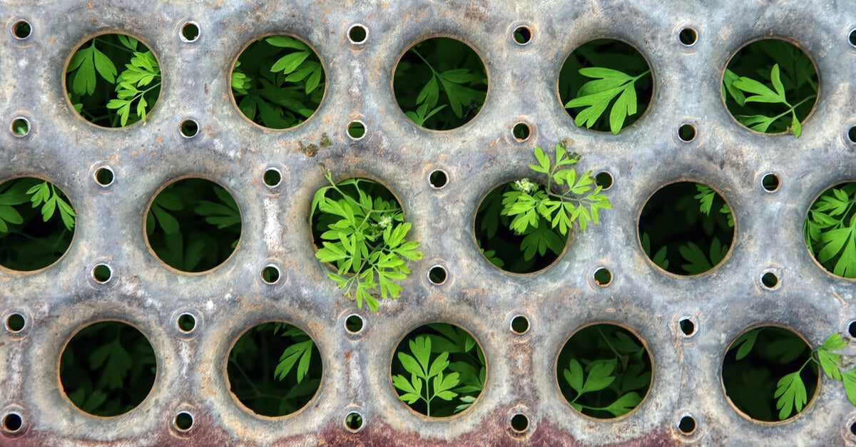 5 ways to make your ESG intentions a reality