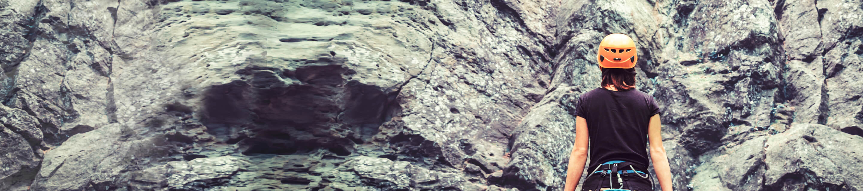 Emotional & Social Competency Inventory (ESCI)