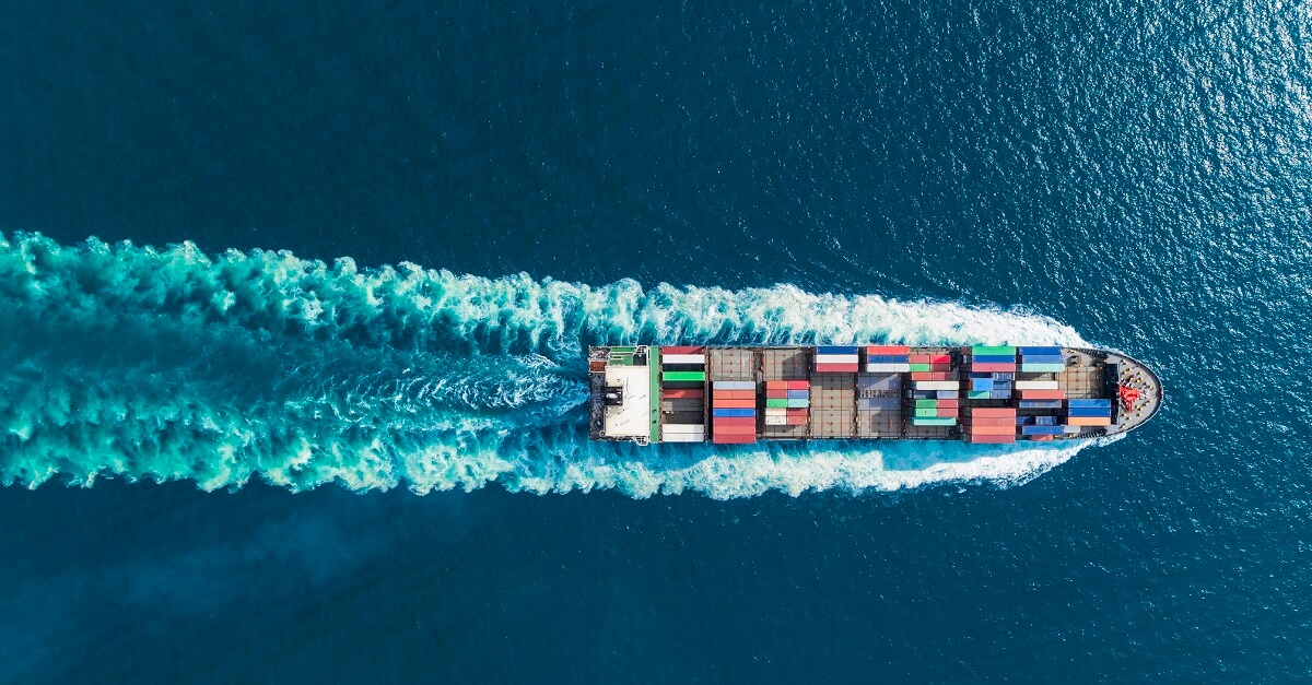 Supply Chains: In Search of New Skills