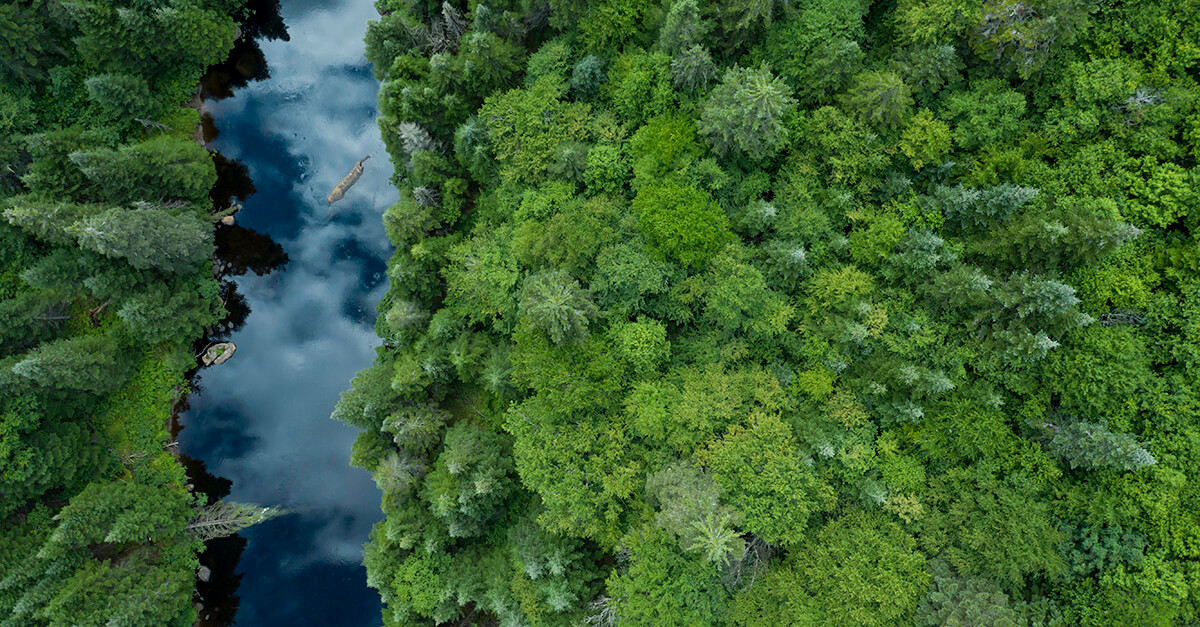 Canada Executive Edition: ESG & Executive Compensation Trends