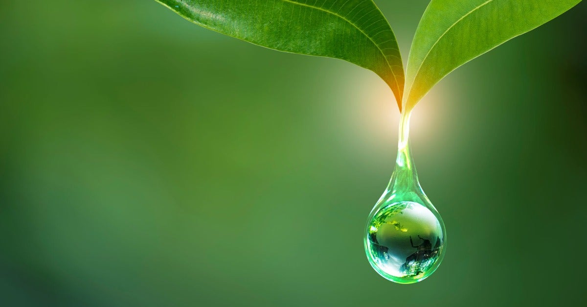 5 everyday actions to take for the planet