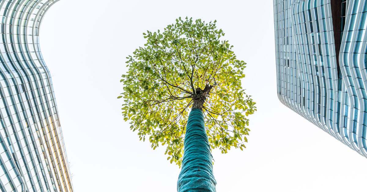 Kickstart Your Corporate Sustainability Initiatives—On a Budget