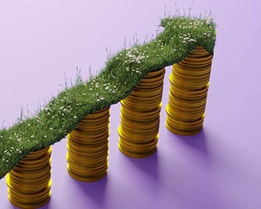 Only Modest Pay Bumps for AI Skills