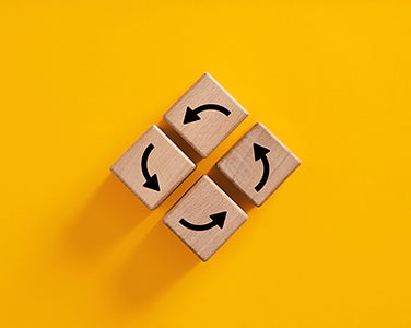 The Adaptive Paradox