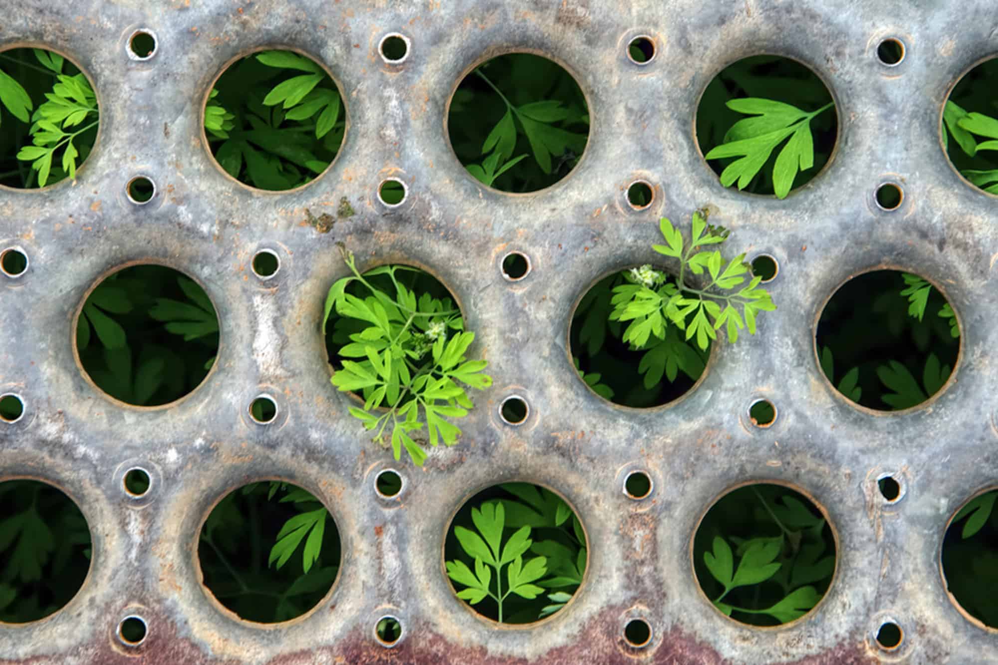 【レポート 】G-Agenda2023年 特別号　コーポレートガバナンスの現在地とこれから