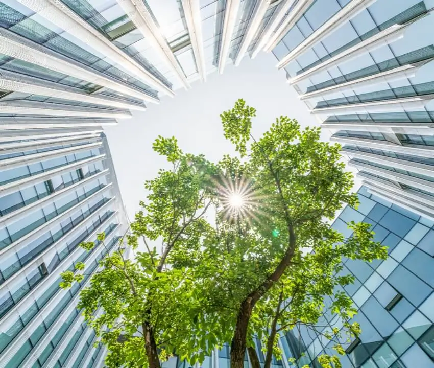 Board and Investors Talk ESG: Views on Governance