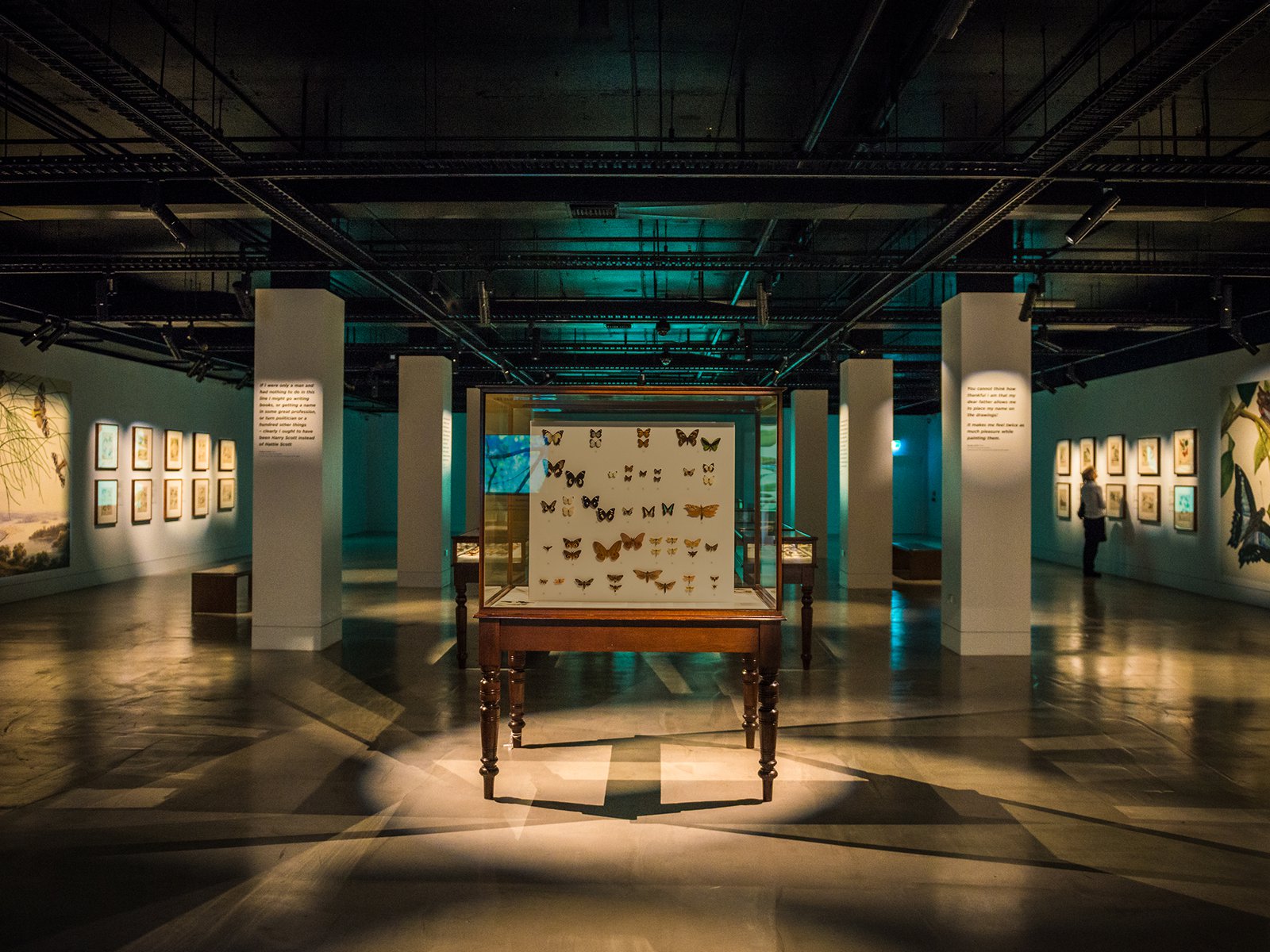 Exhibitions