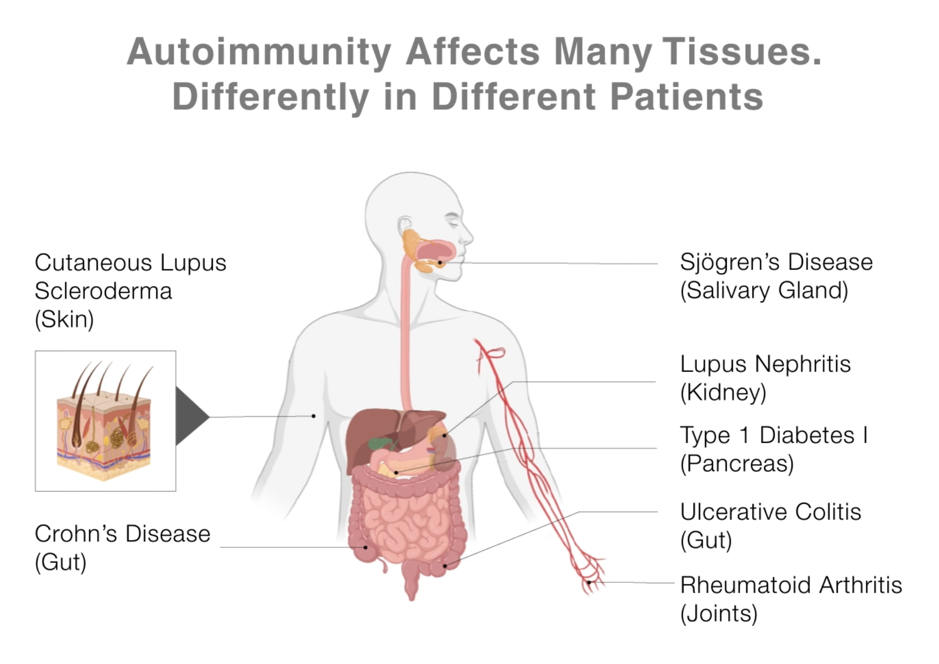 Video of an Example of an ImmunoX Lab