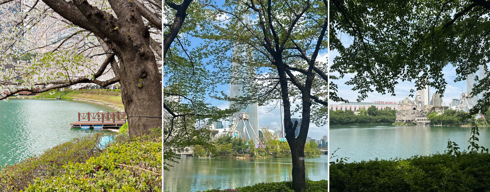 점심시간을 이렇게 알차게? 디엑스퀘어의 점심 라이프 공개!