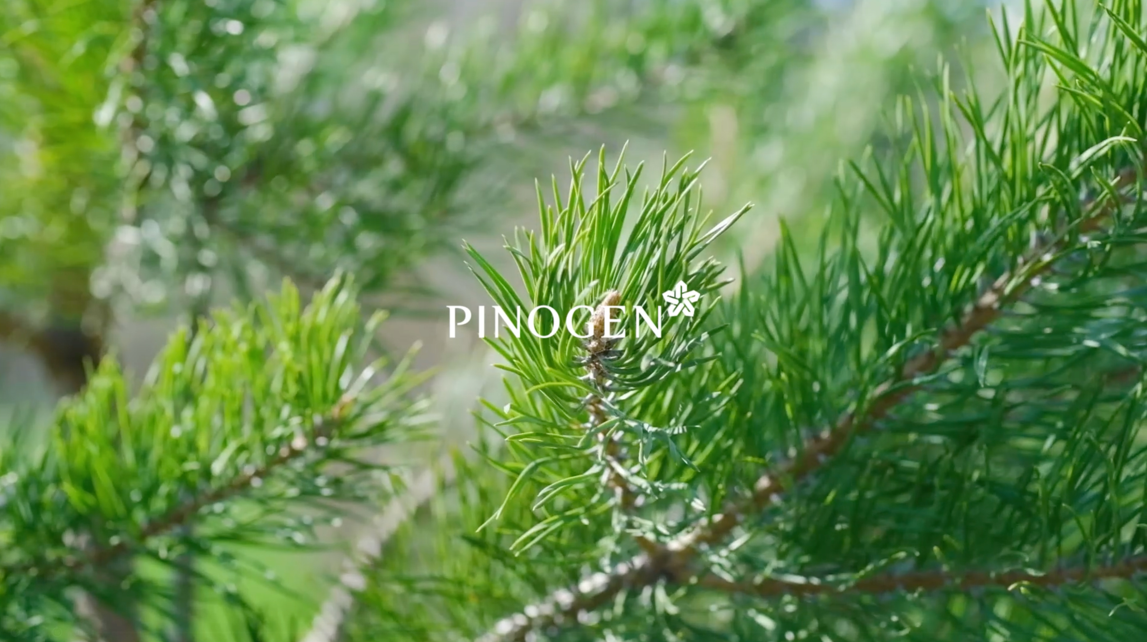 pinogen