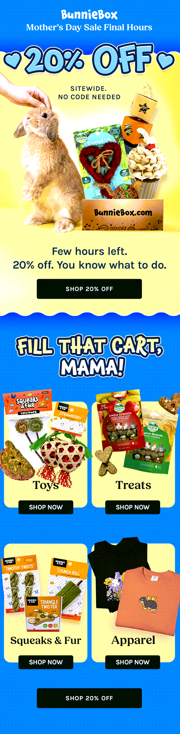 BunnieBox - Email Design 2