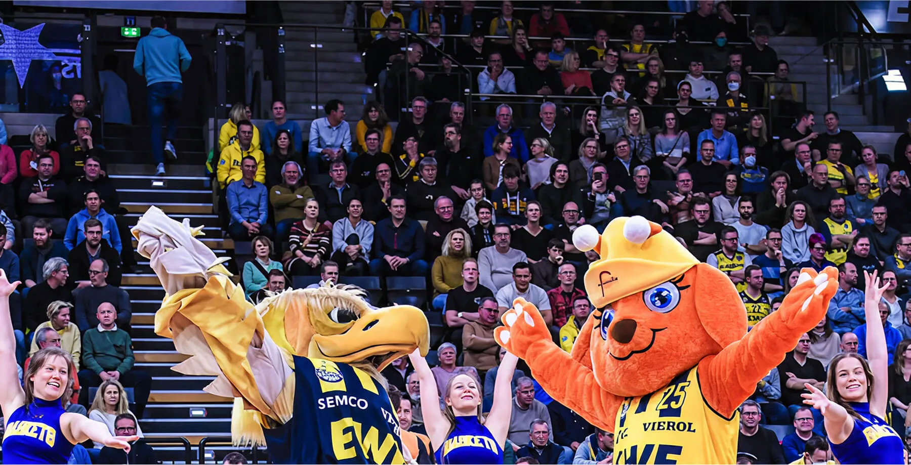 Maskottchen-Show beim Basketballspiel in Oldenburg