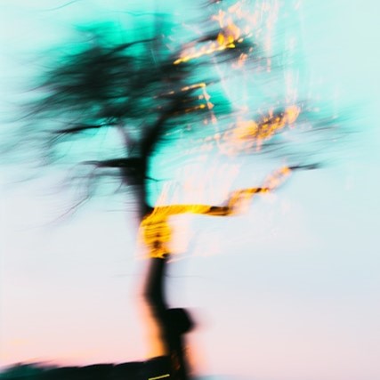 What is real must be suspended for what is possible to take root_thoughts and ideas reflected in dreamy scenes and double-exposure effect
