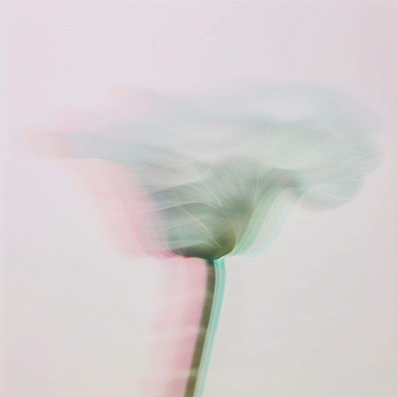 be the part the world needs you to be_thoughts and ideas reflected in dreamy scenes and double-exposure effect
