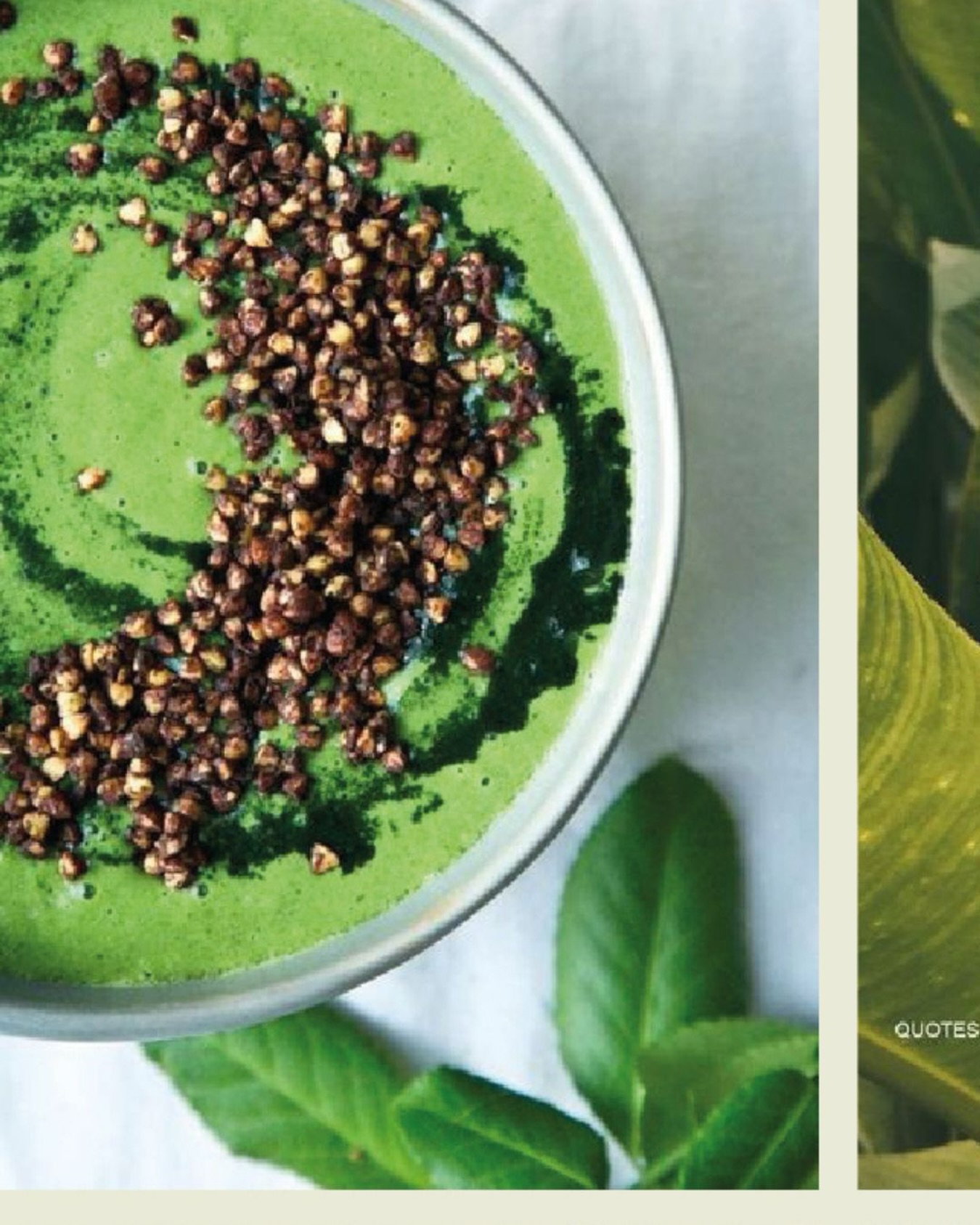 36024036425644285052025-04-03T06:00:00.000Z