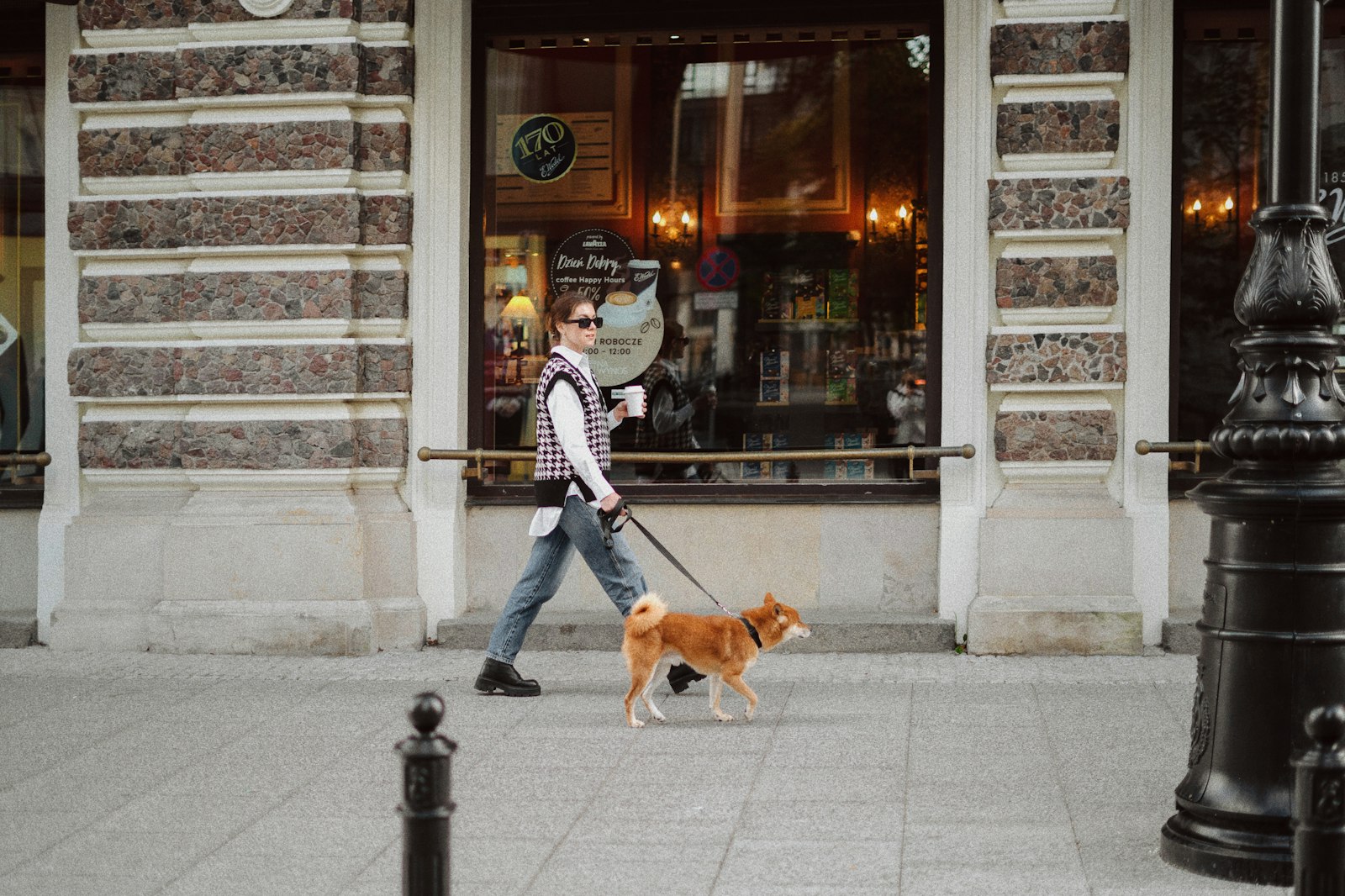 Owner walking Shiba Inu calmly on a loose leash