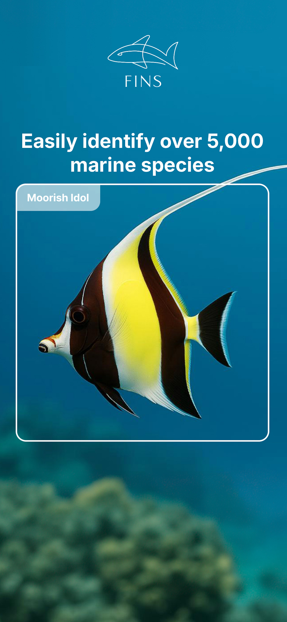 A moorish idol in the ocean. FINS app