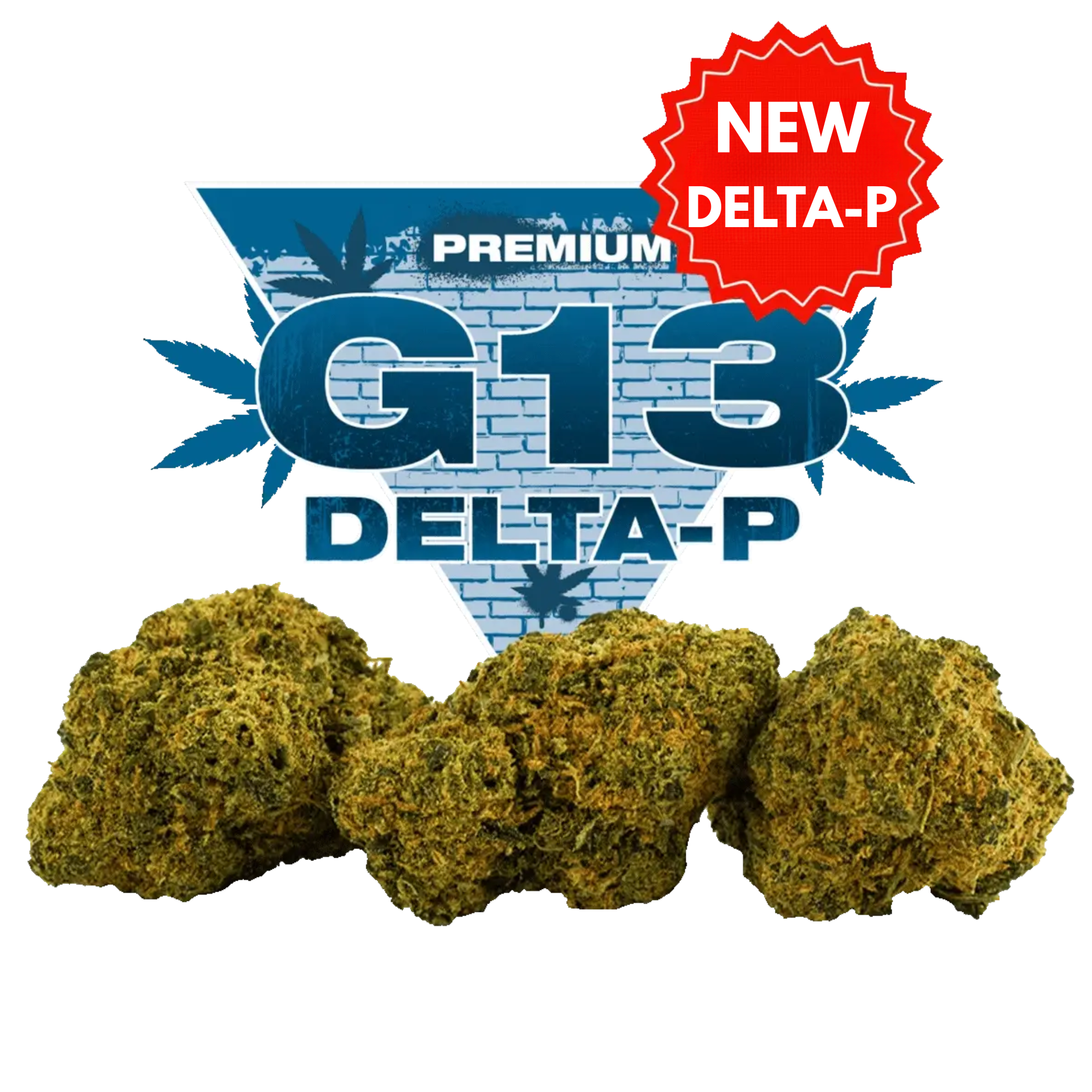 G-13 Delta-P Nouvelle Formule – Fleur CBD Premium 30%