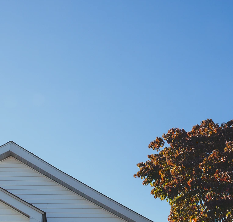 Blue sky above the corner roof of a white house and a tree with dark green and reddish leaves.