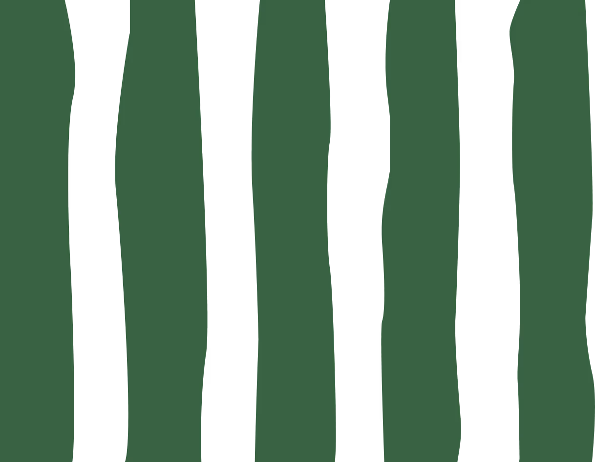 Stripes verzi pentru decoratiuni