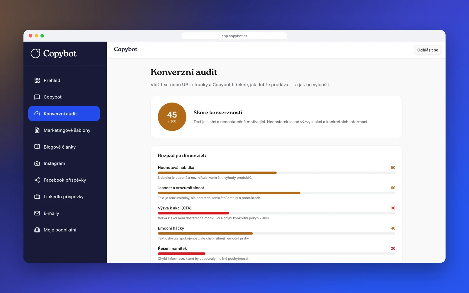 Copybot: výsledek konverzního auditu se skóre 45 ze 100