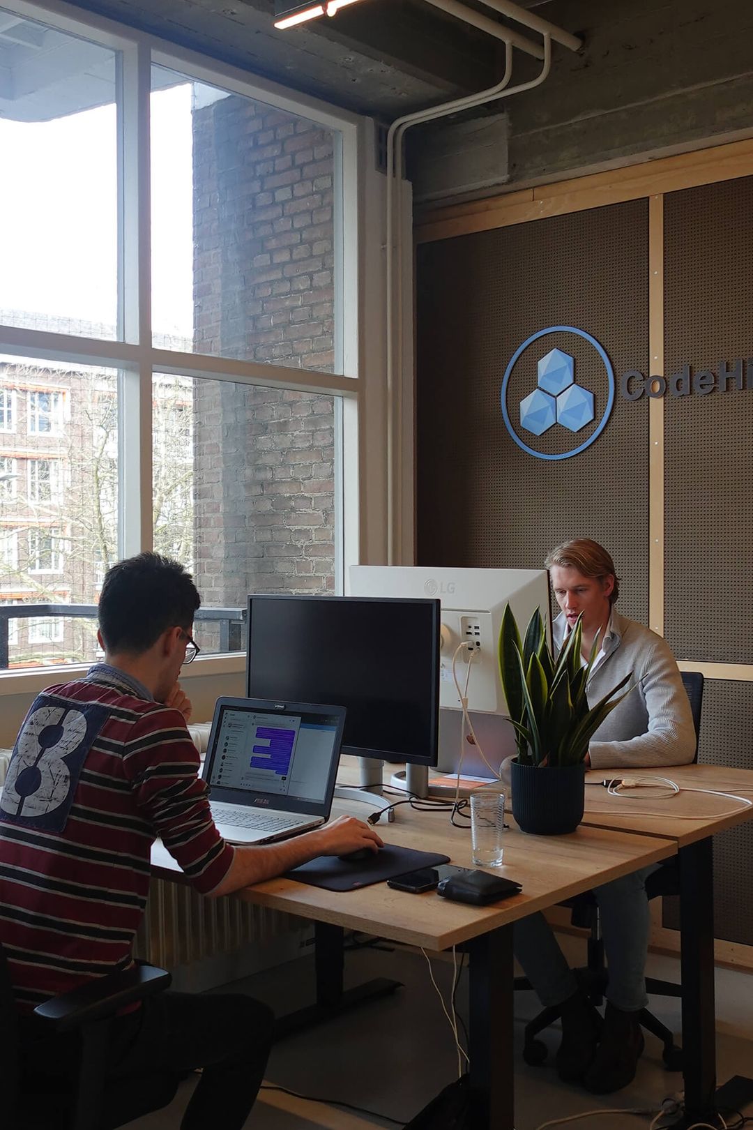 IT & AI Incubator | Codehive