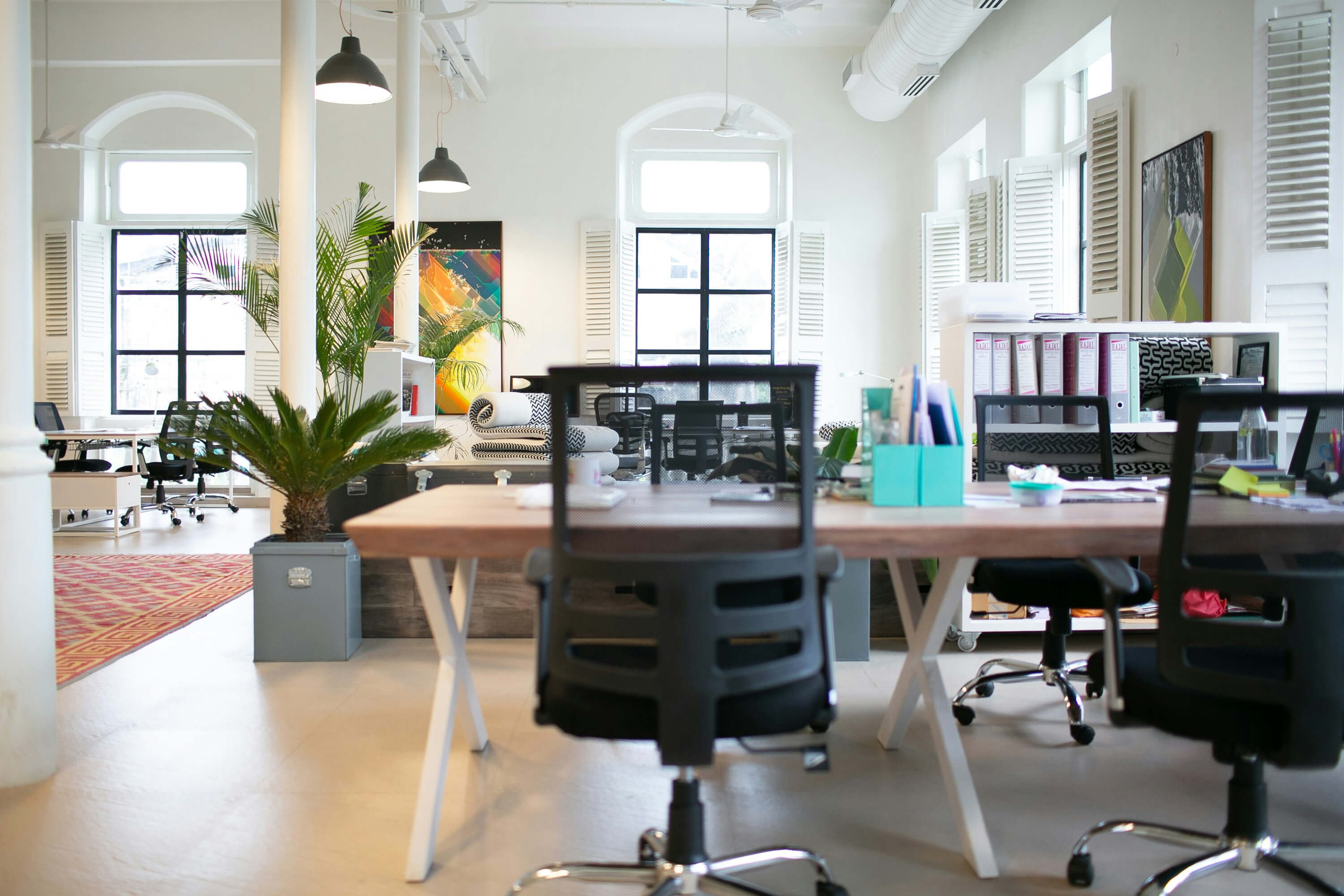Modern kantoor met planten, bureaus en grote ramen met natuurlijk licht