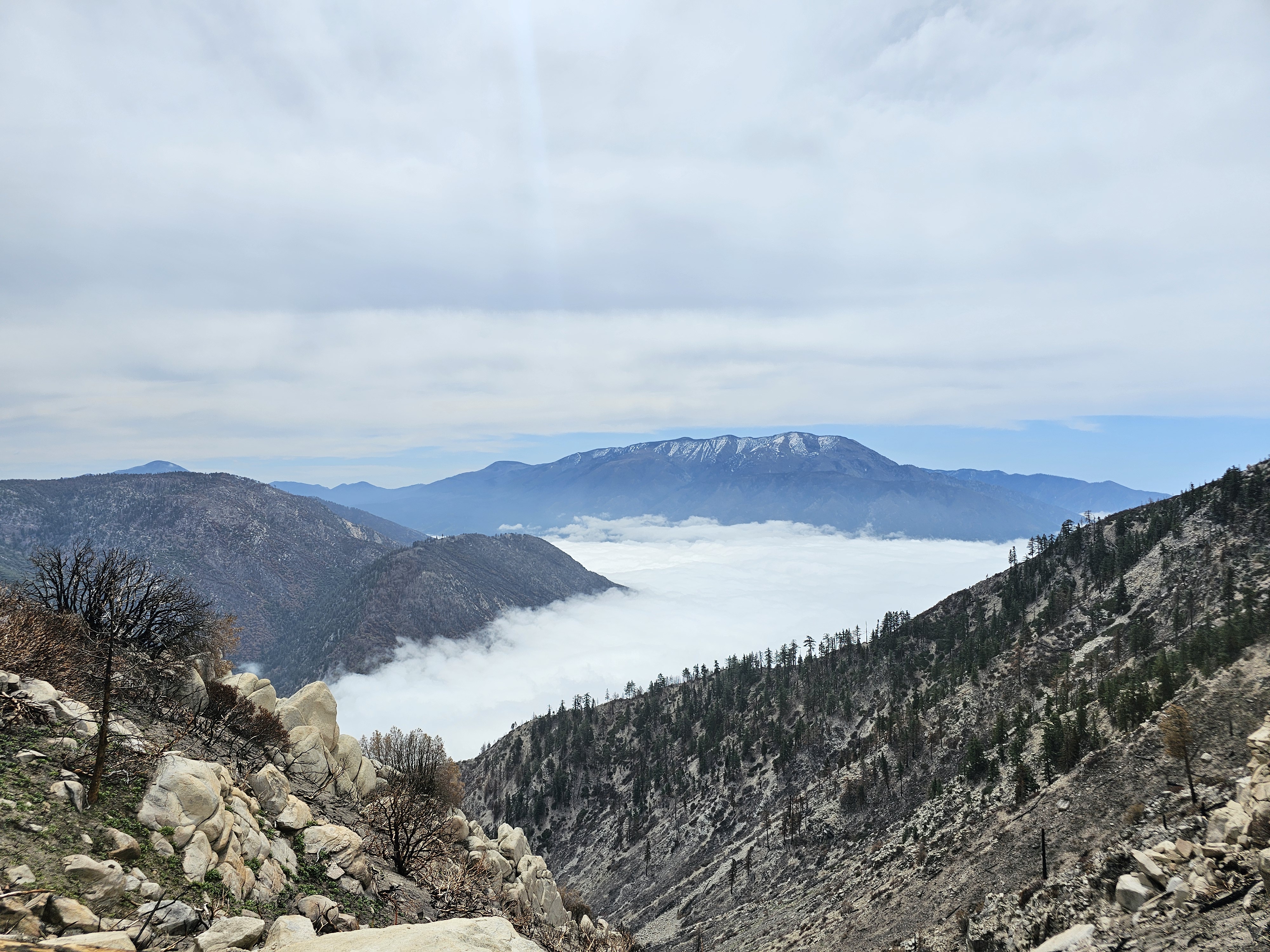 Foggy Mountain morning from the edge of an overlook with a marine layer covering the valley