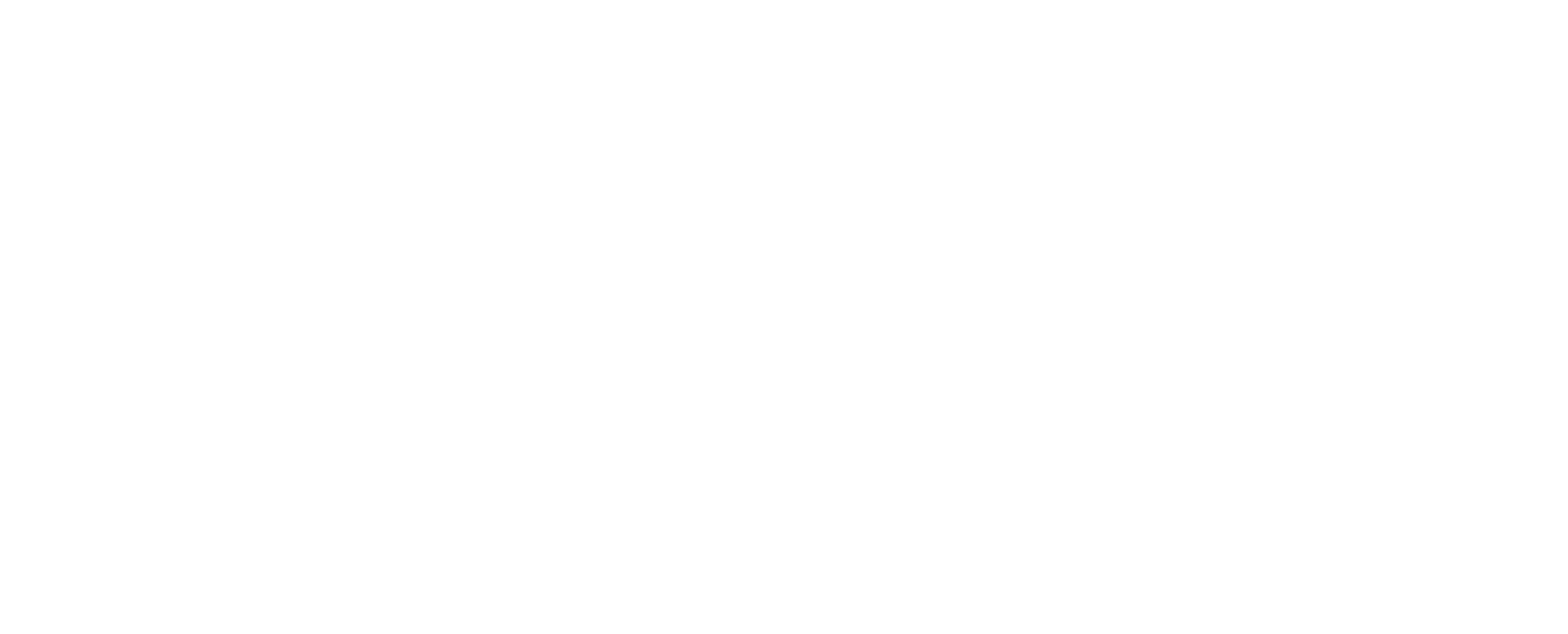 Logiks Solutions Logo