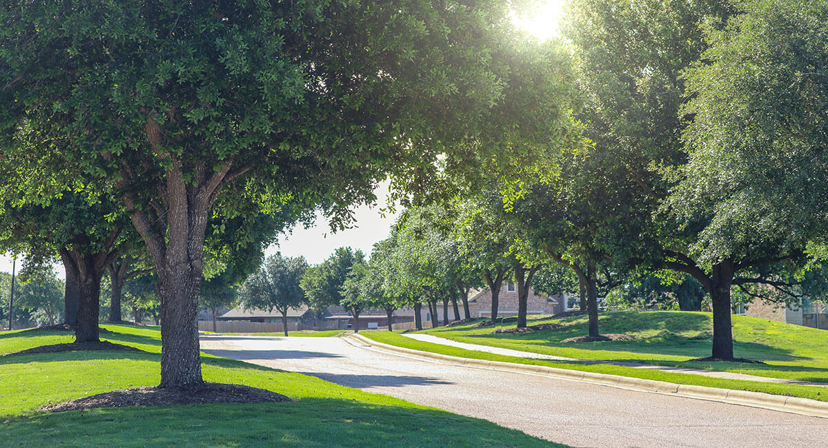Image of CHI St. Joseph Health