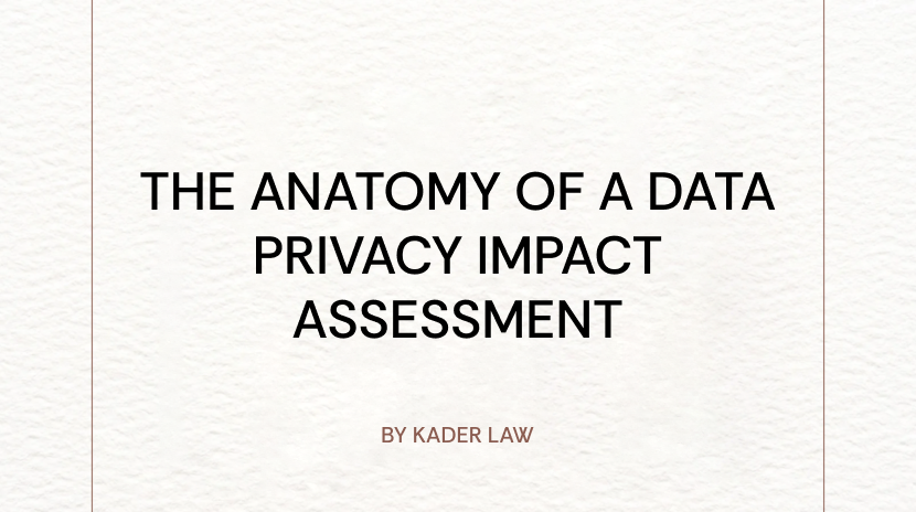 The Anatomy of a Data Privacy Impact Assessment