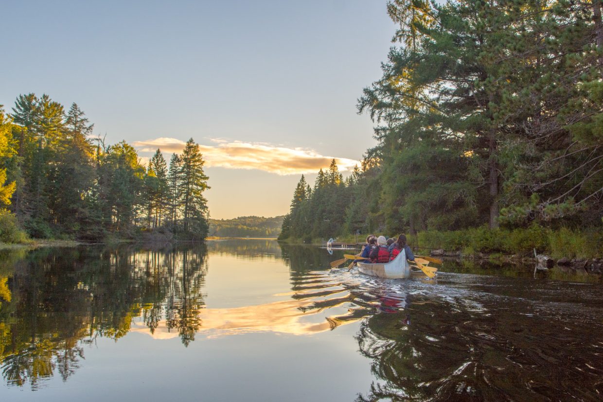 A canoe on calm, sheltered water in Algonquin