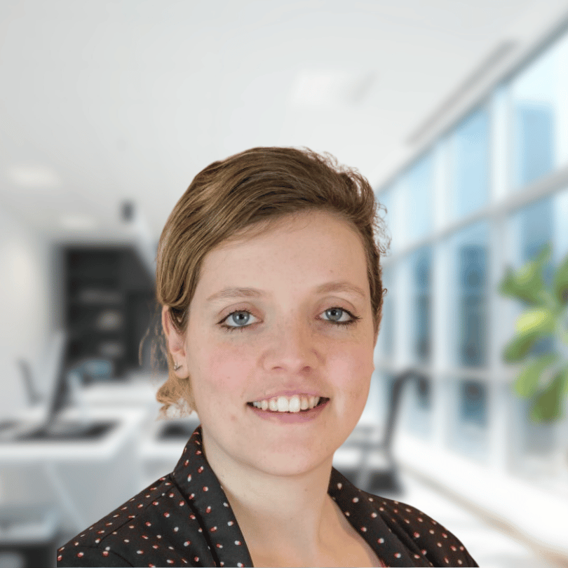 Erik Wilbrink CEO of Bruco IC