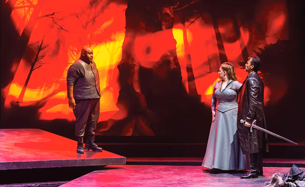 Die Walküre (2019) - Opéra National de Bordeaux - Photo by Eric Bouloumié