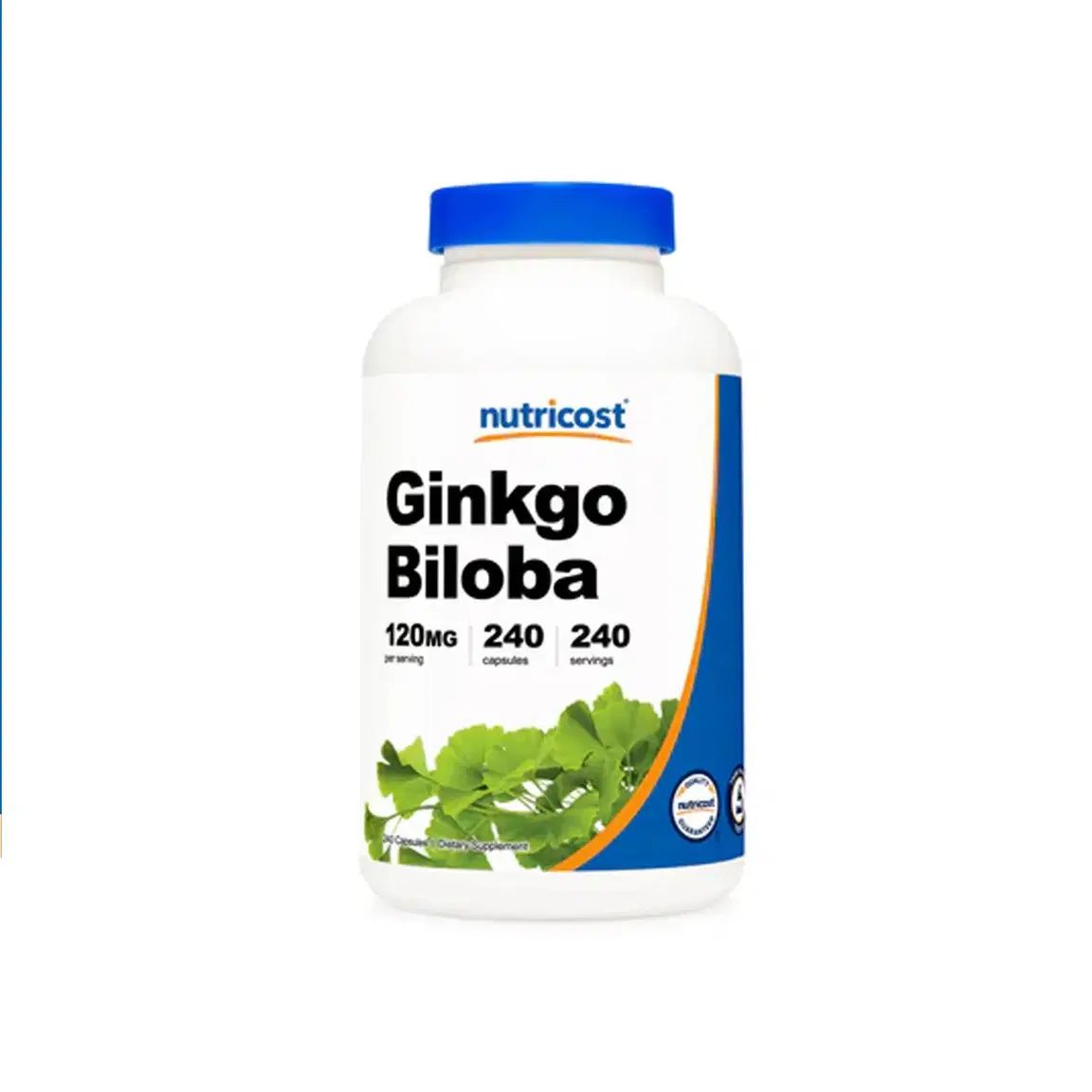 Ginkgo Biloba 120 mg 240 Capsules