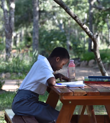 Student learns outdoors at Education Matters school in Zimbabwe, promoting quality African education.