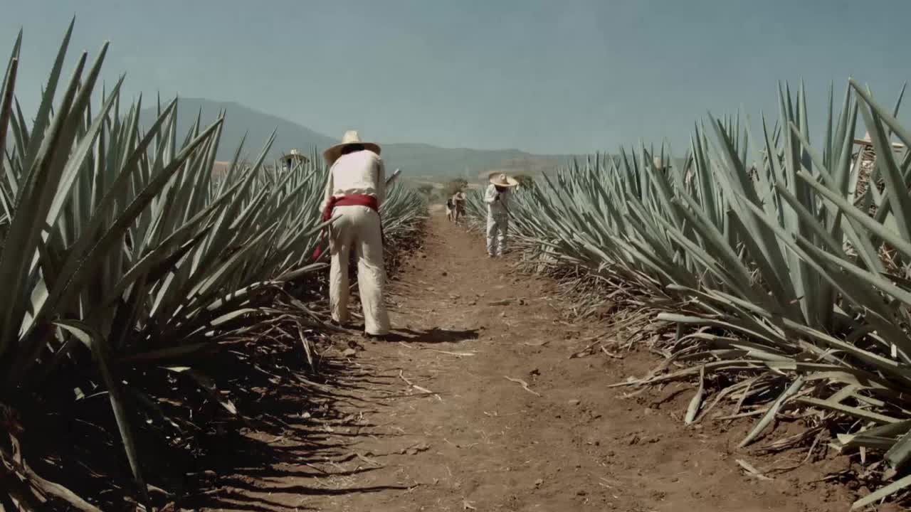 The Story of "Mi Cariño"
