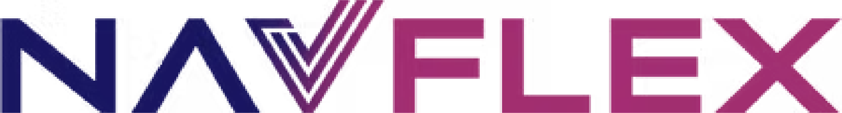 Navflex color logo