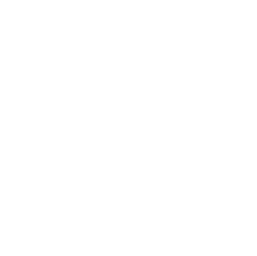 CustomPet Solutions